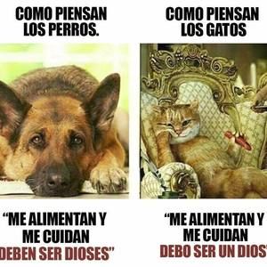 Meet your Posher, Vicky